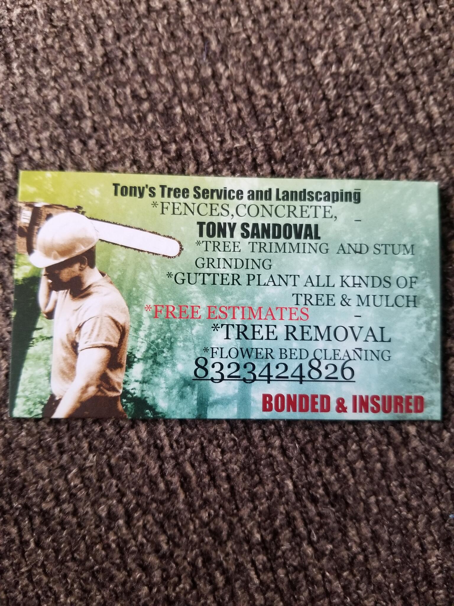 tony's tree service & landscaping