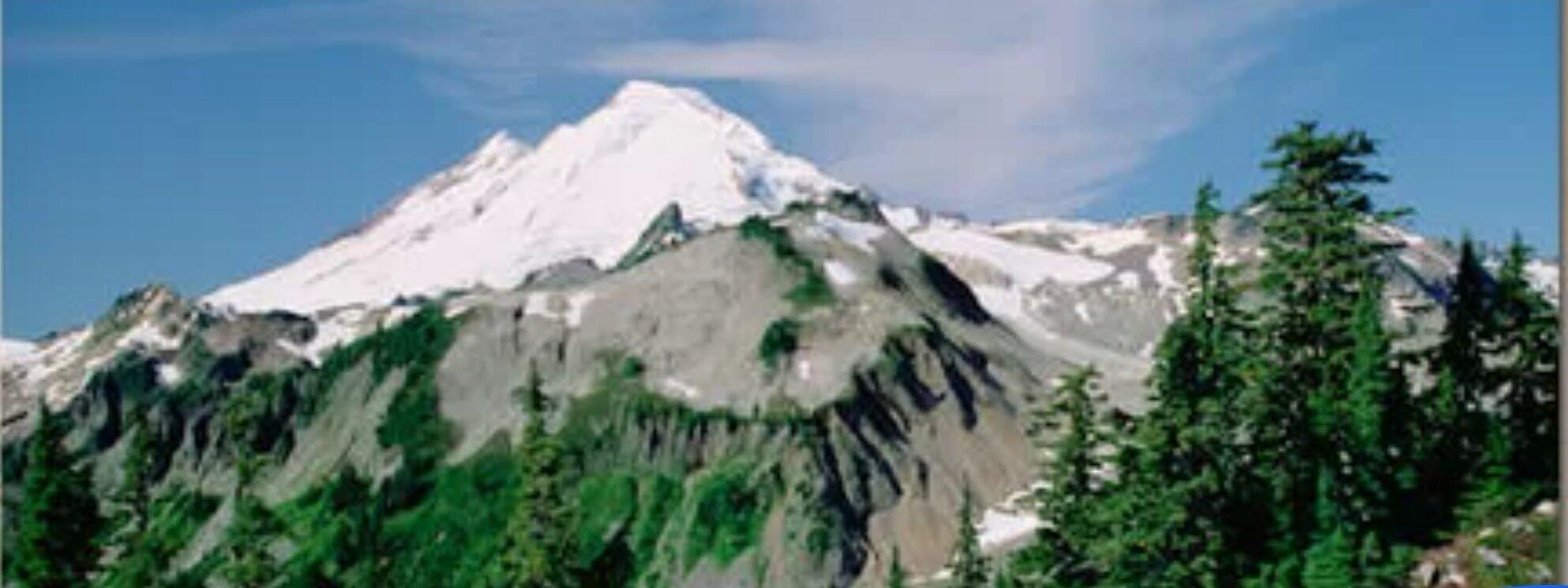 Mt. Baker FixitFella Everson, WA Nextdoor