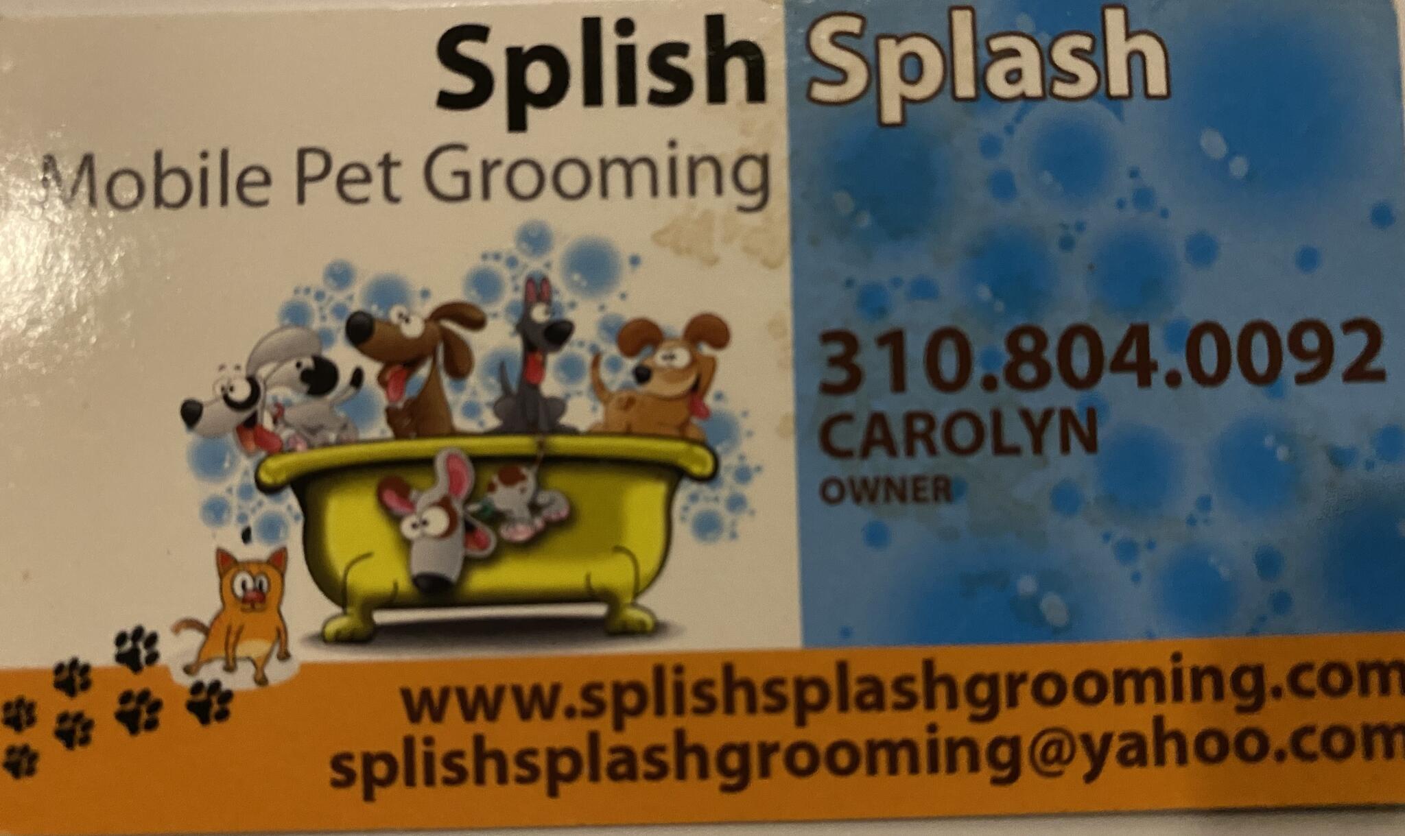 Splish splash store mobile pet grooming