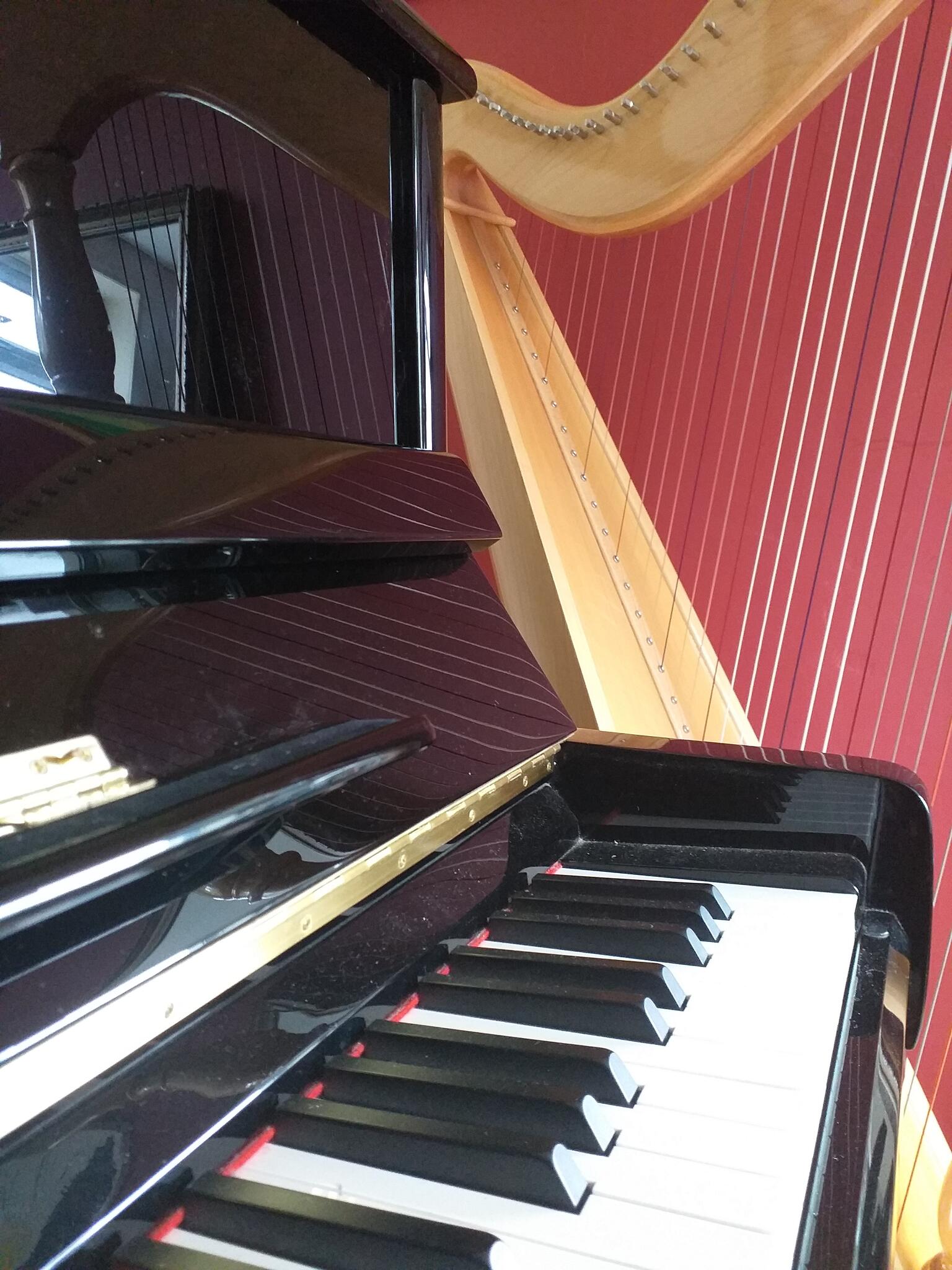 Harphood Piano and Harp Lessons with Elizabeth Nottingham Nextdoor