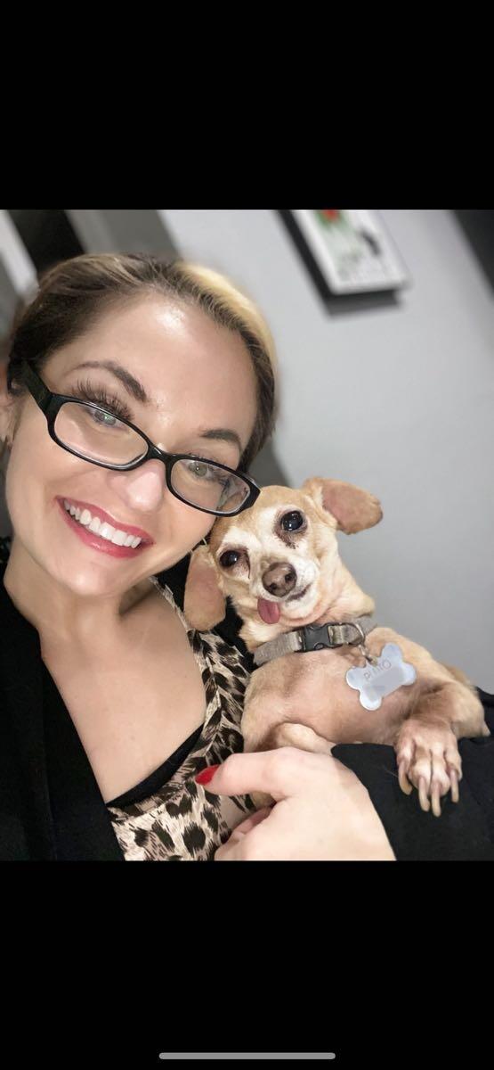 Suite Sleeps Doggy Daycare Las Vegas, NV Nextdoor