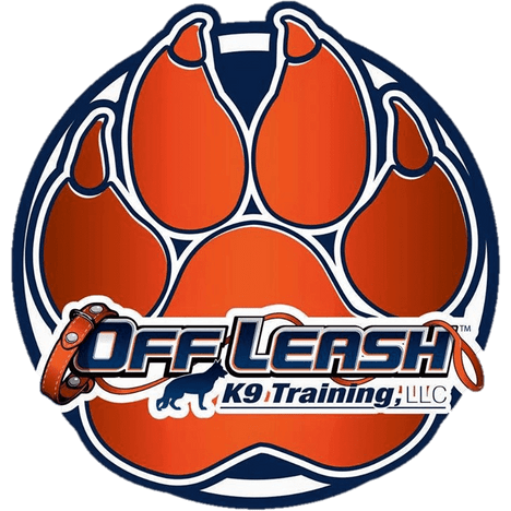 Off leash k9 chicago best sale