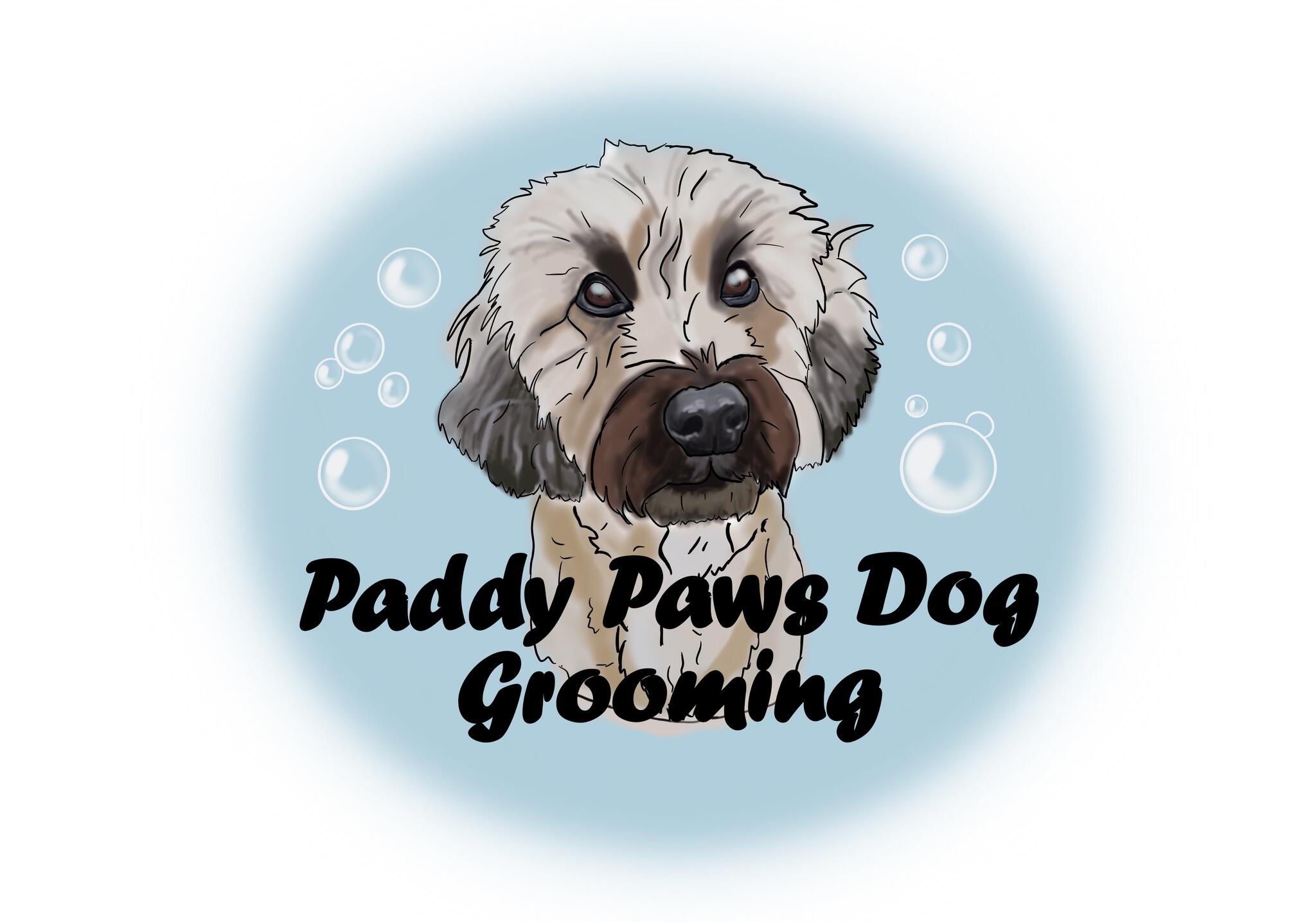 Paddy Paws Dog Grooming Redcar, GBENG Nextdoor