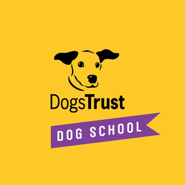 Dogs Trust Dog School Belfast Leadhill Primary School Belfast, GB