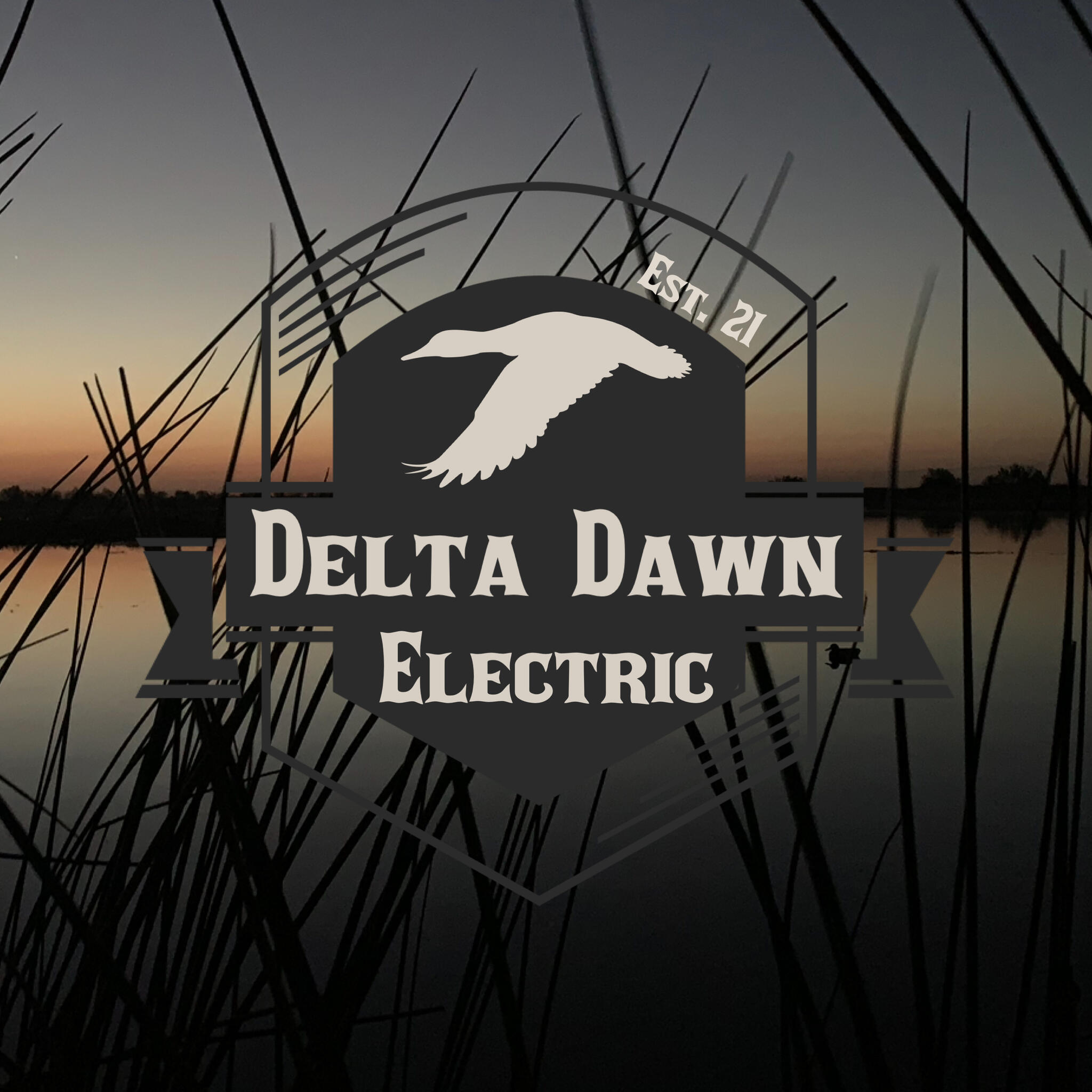 Delta Dawn Electric - Oakley, CA - Nextdoor