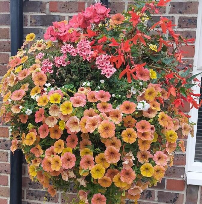 Glenvale Nurseries Reading, GBENG Nextdoor