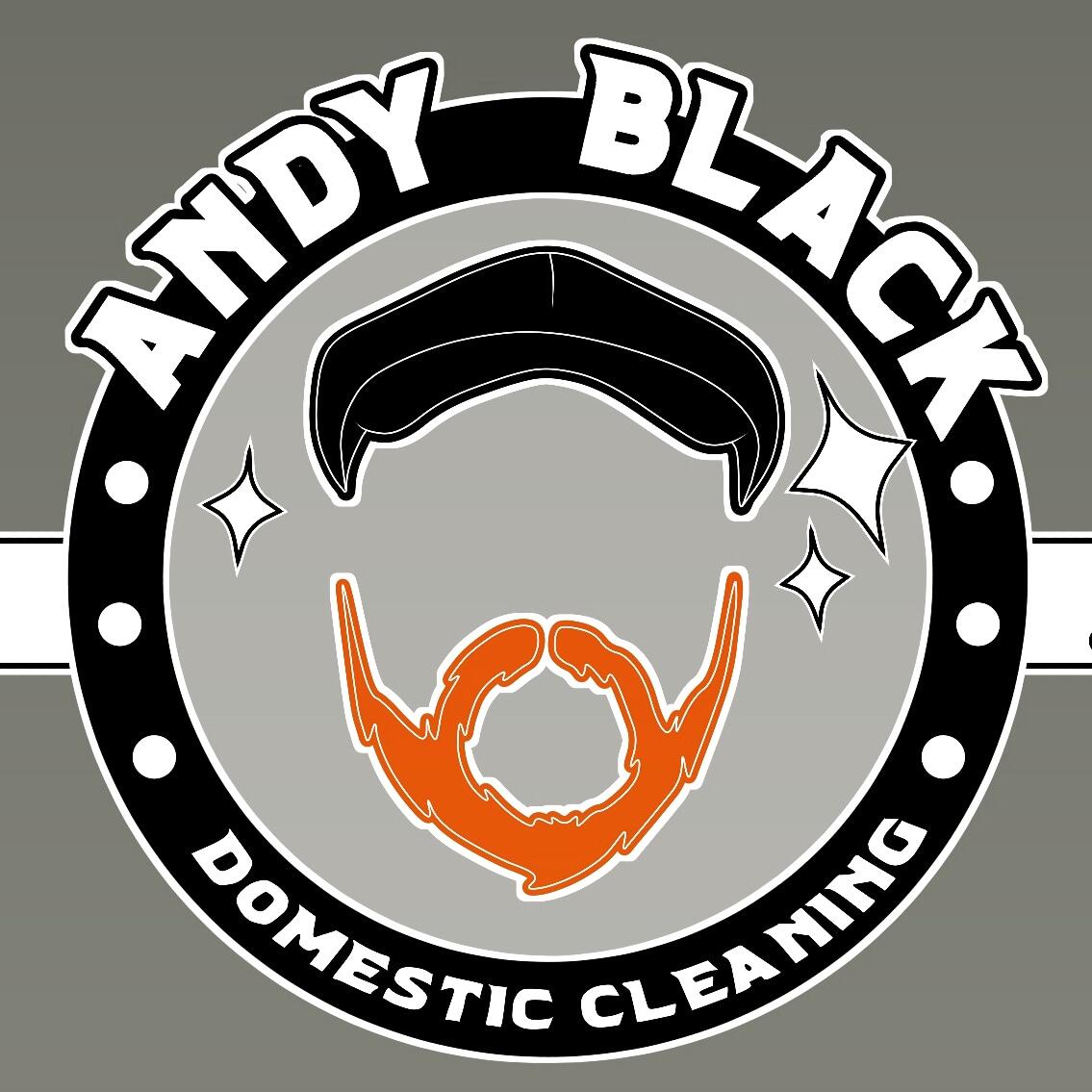 Andy Black Domestic Cleaning York Nextdoor