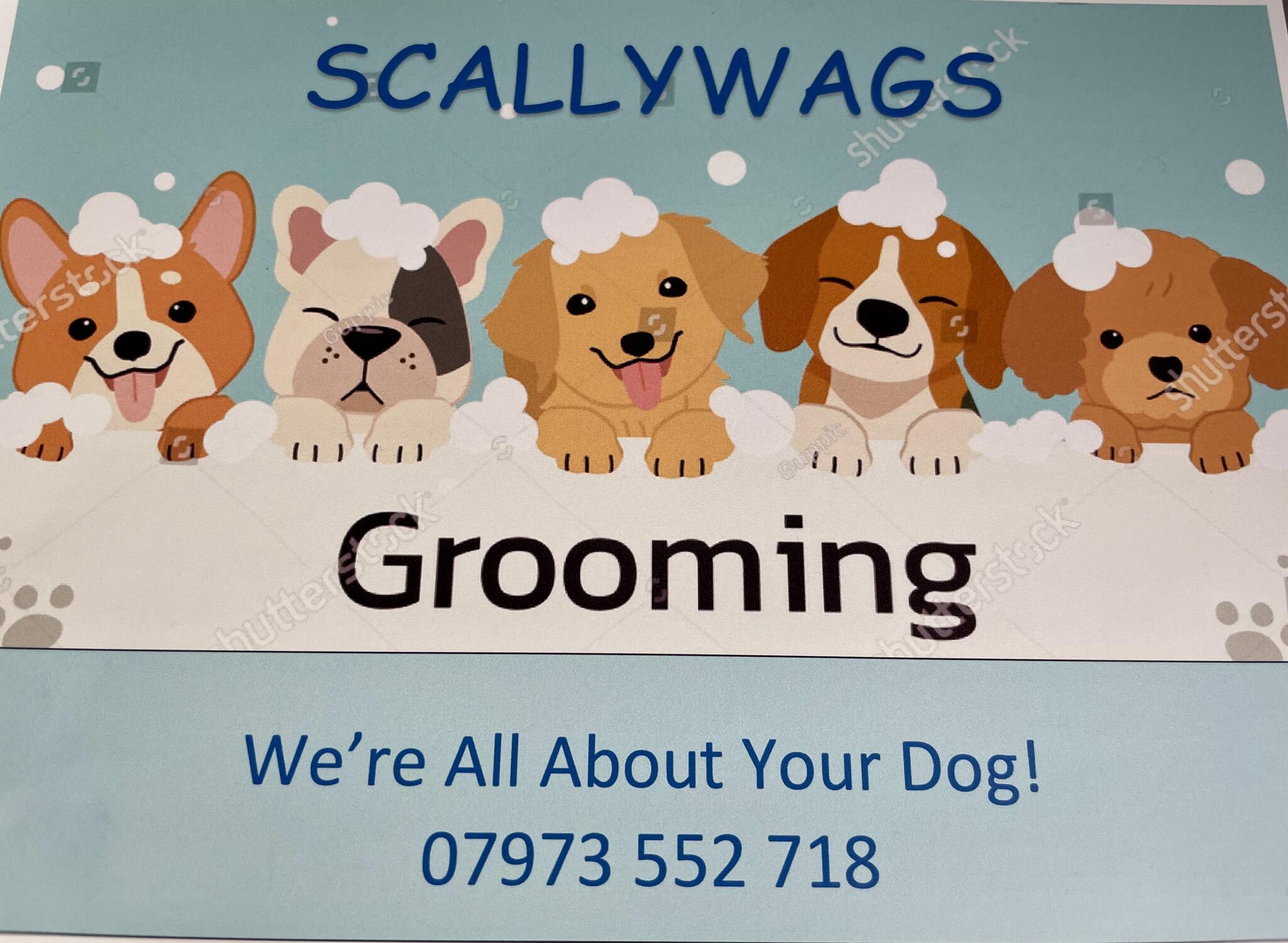 Scallywags Dog Grooming Tewkesbury GB ENG Nextdoor   61265982389e036afb3b9d6b3f79c144 