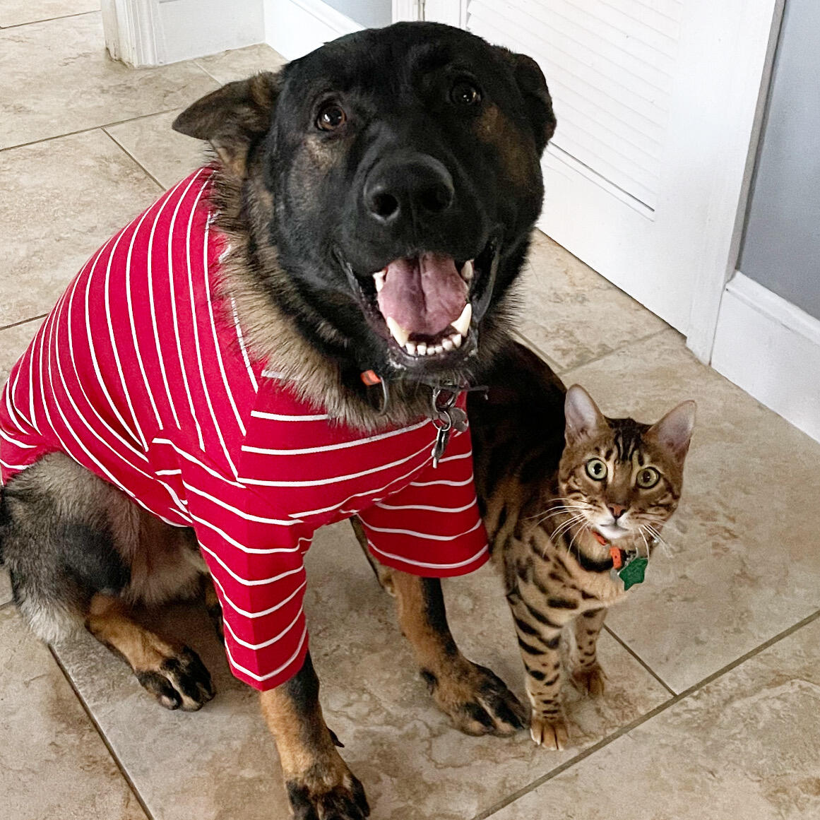 Windover Farms Pet Resort Titusville, FL Nextdoor