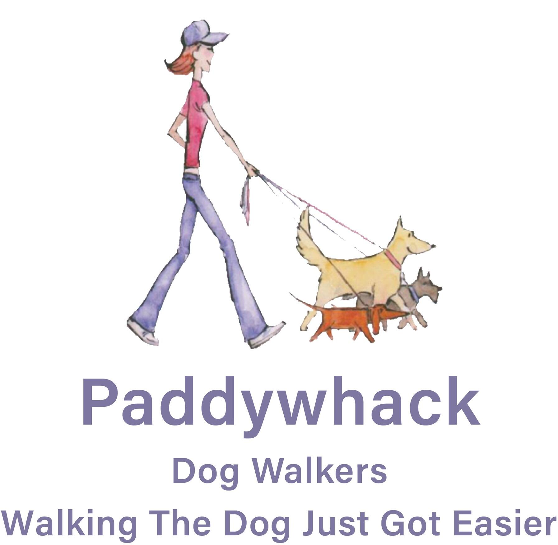 Paddywhack Dog Walkers Swindon Nextdoor