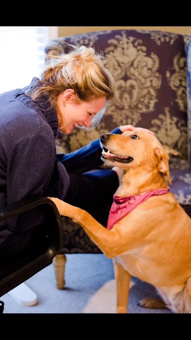 Mercer House Calls Car Detailing & Boat Interiors Mercer Island, WA Nextdoor