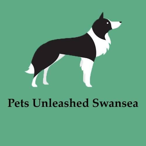 Pets unleashed Swansea Nextdoor