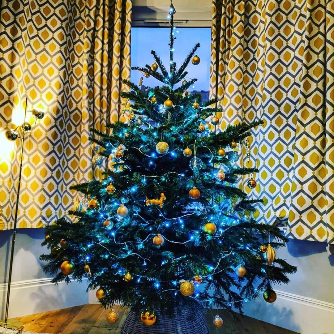 Fantastico Christmas Trees London Nextdoor