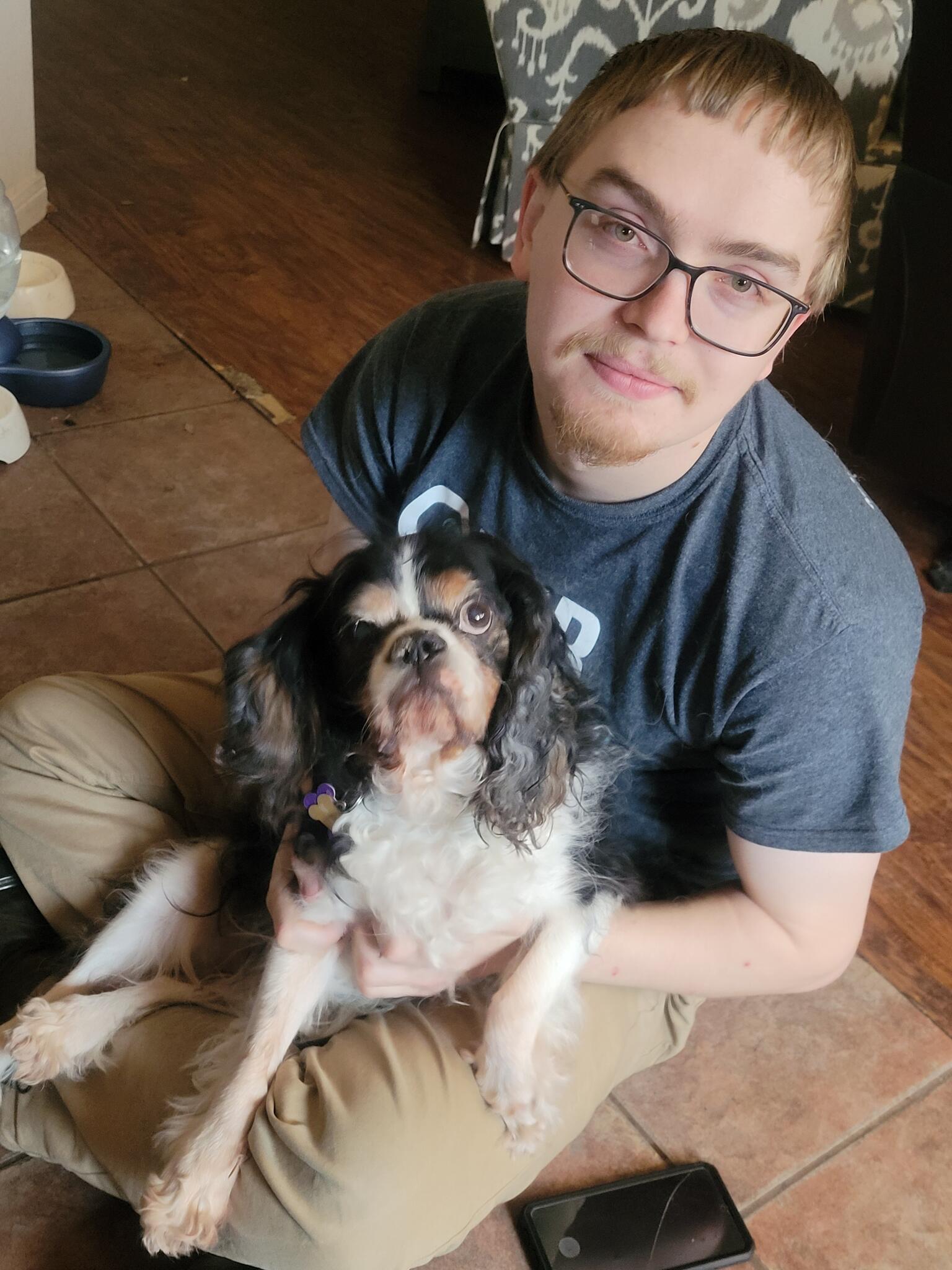 The Pet Whisperers Guide To Craigslist San Diego Find Your Purrfect Match - 29olikv