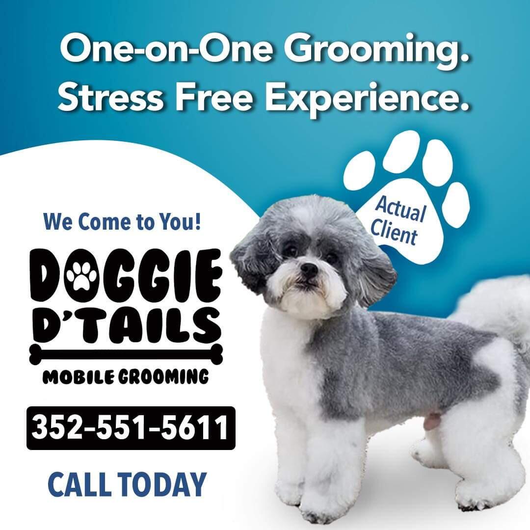 Doggie D' Tails Mobile Dog Grooming Tavares, FL Nextdoor