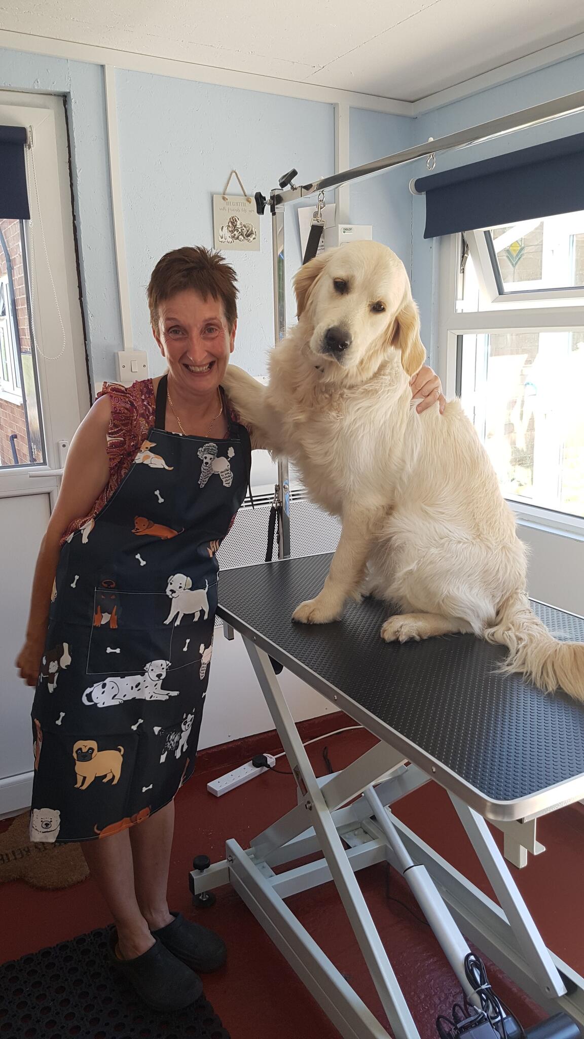 Goldenlocks Dog Grooming StokeOnTrent Nextdoor