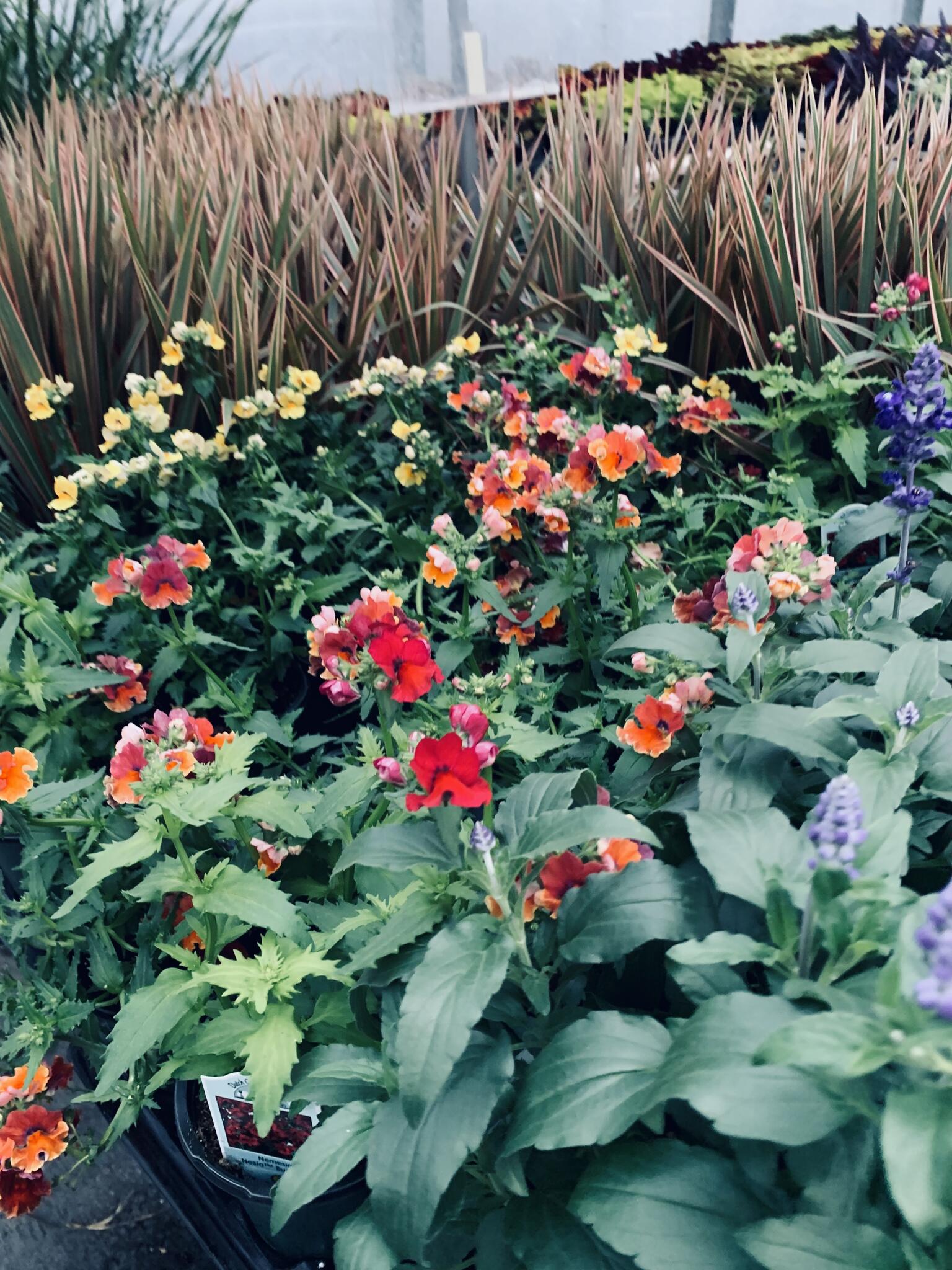 Lewisberry Gardens Lewisberry, PA Nextdoor