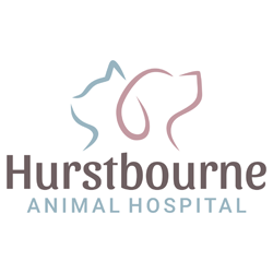 Dog & Cat Boarding in Louisville, KY - Hurstbourne Animal Hospital