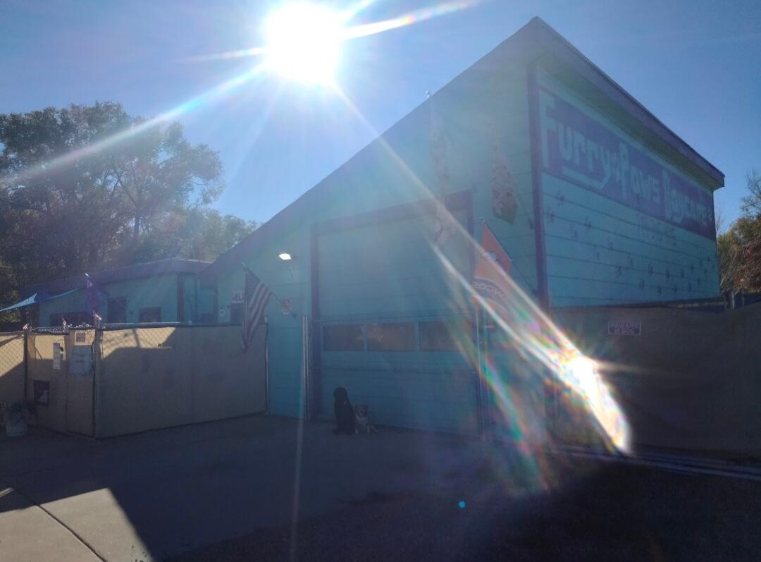 Furry paws doggy daycare Cañon City, CO Nextdoor