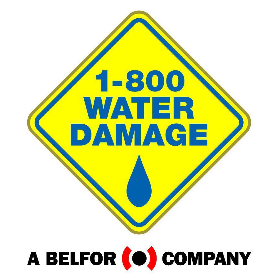1-800 WATER DAMAGE of Virginia Beach - Nextdoor