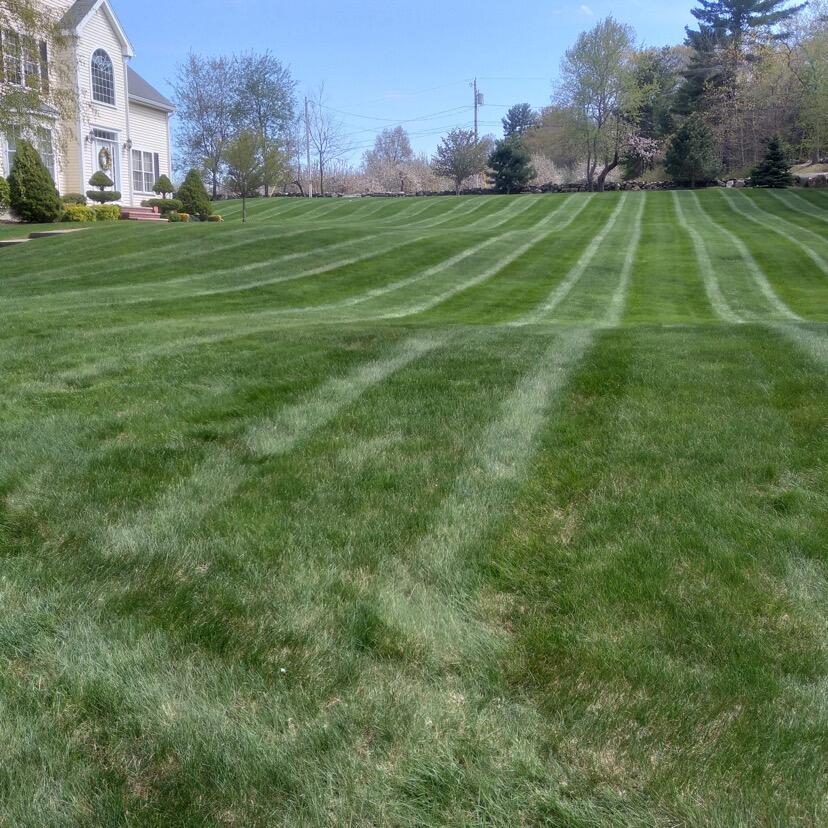 Gomez landscaping inc Dracut, MA Nextdoor