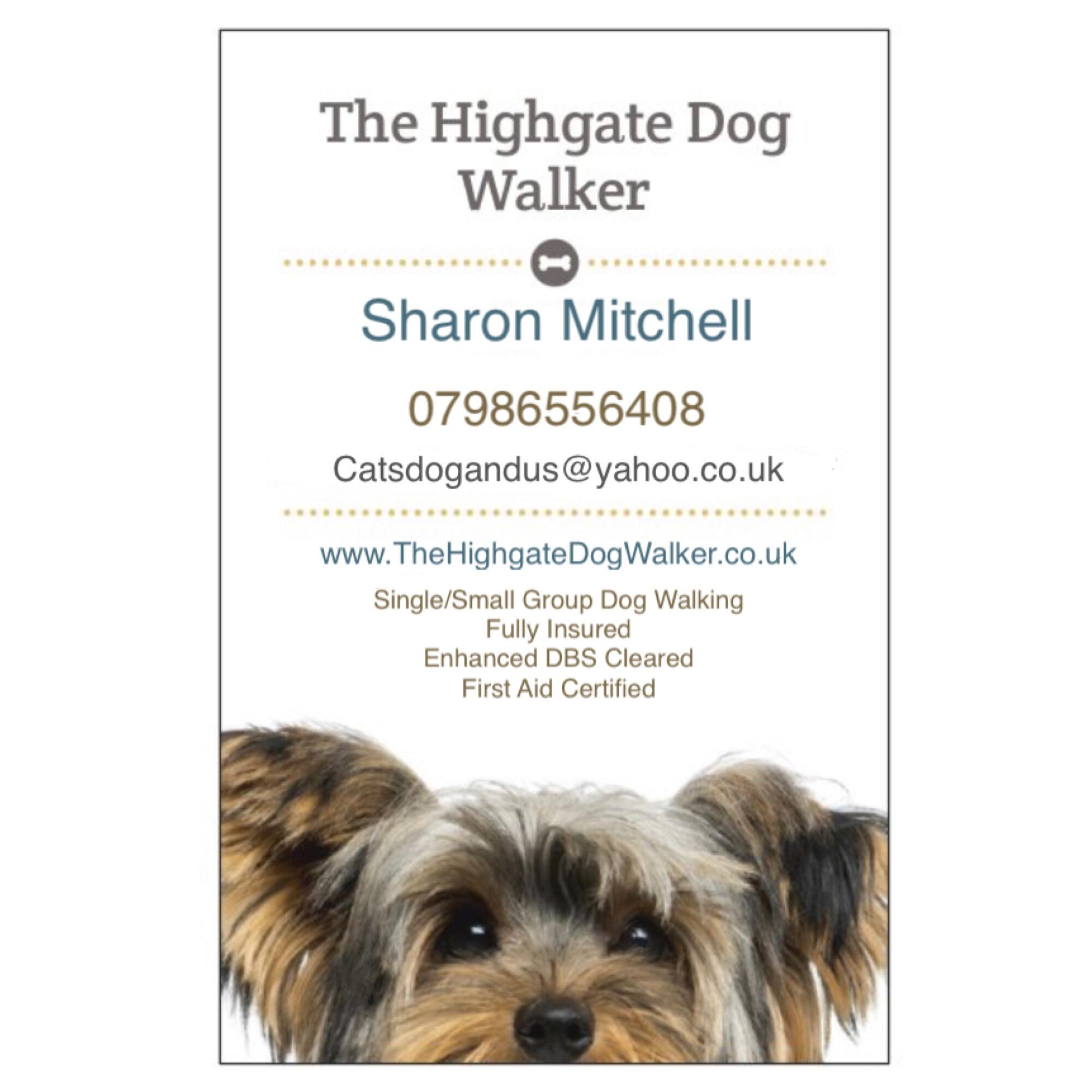 Dog best sale walking highgate