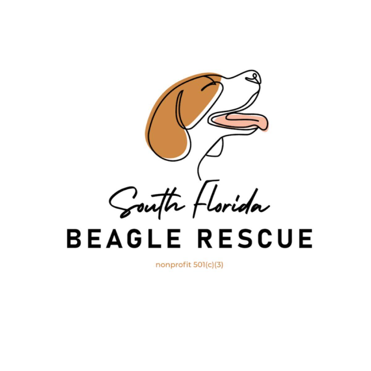 South Florida Beagle Rescue - Nextdoor