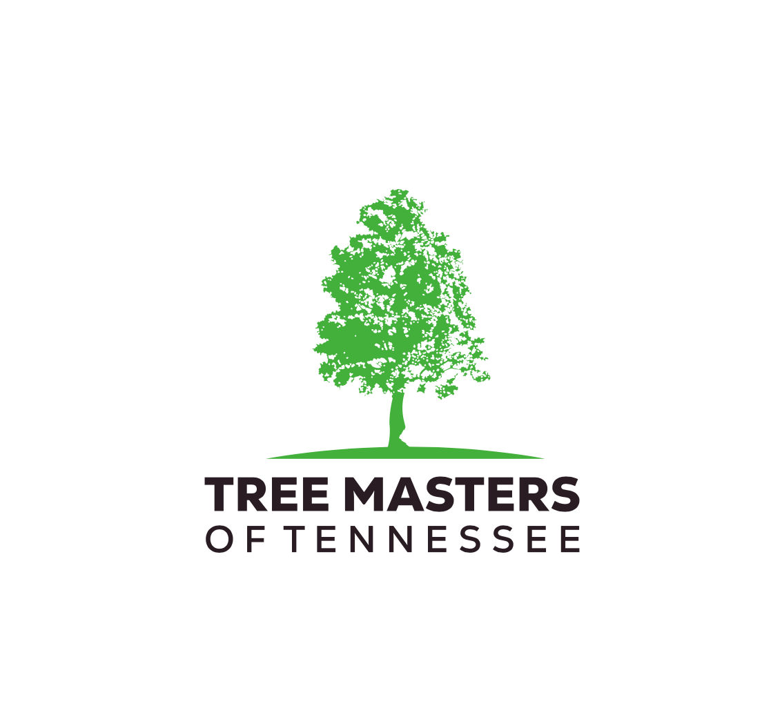 Tree Masters of Tennessee Nextdoor