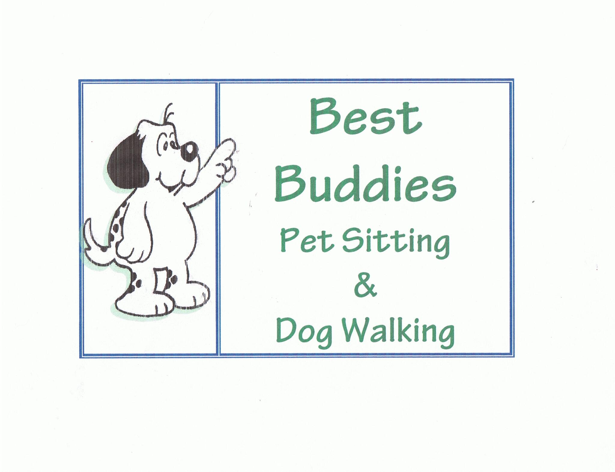 Best buddies dog store walking