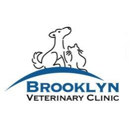 Brooklyn 2024 veterinary clinic