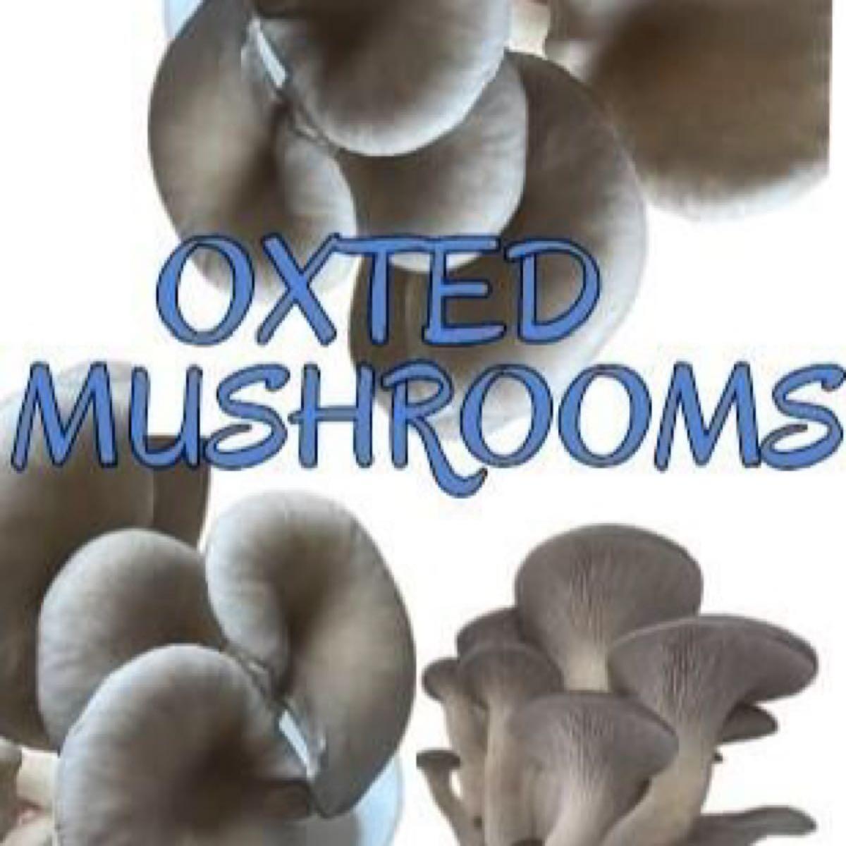 Oxted Shell Oxted mushrooms - Nextdoor