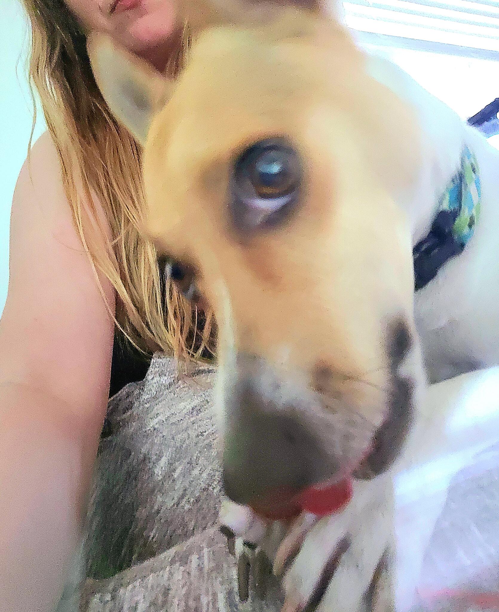 Essential Grooming Little Rock, AR Nextdoor