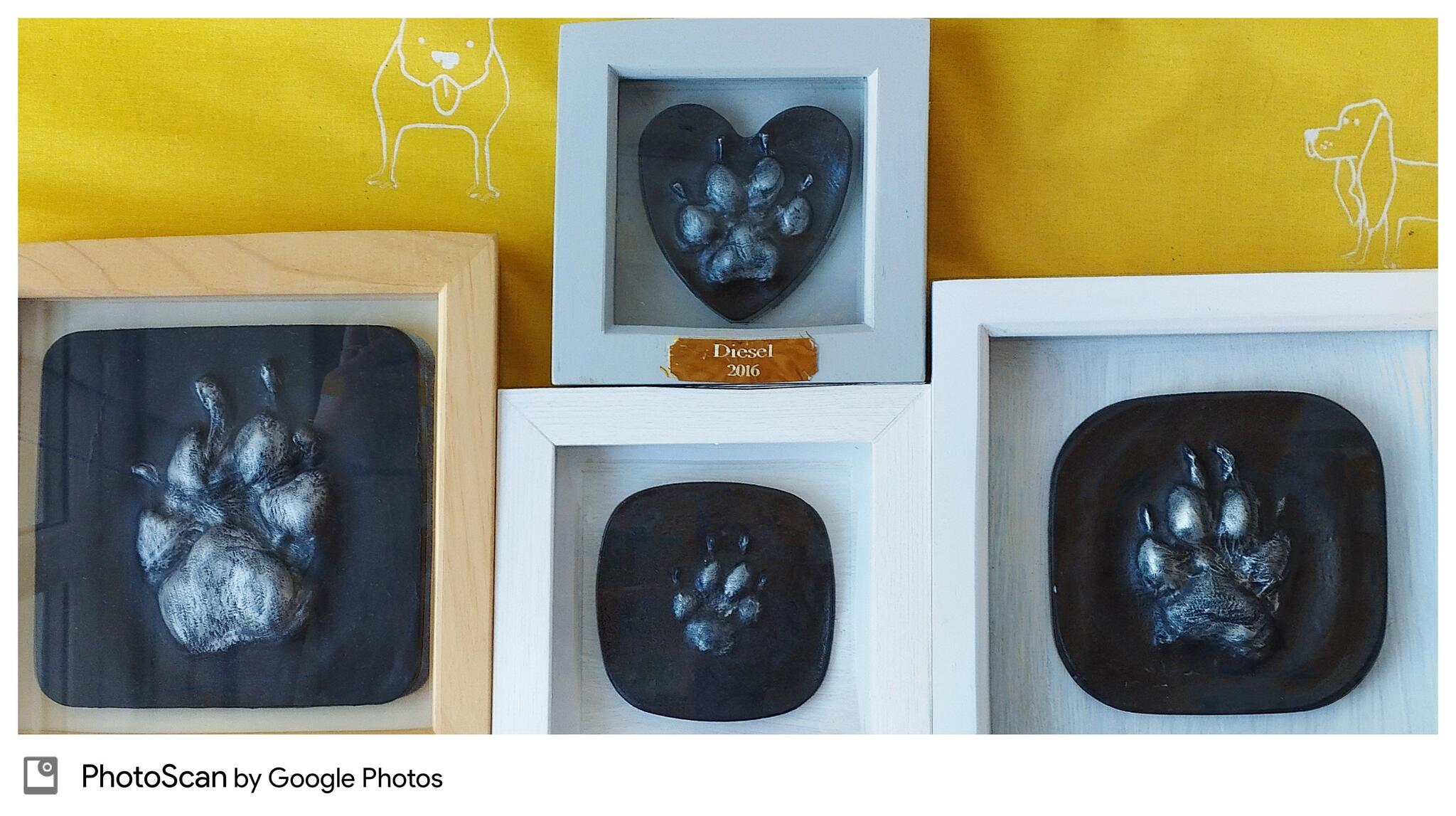 Fur Baby Paw Prints Highbridge Nextdoor fur-baby-paw-prints-highbridge-nextdoor