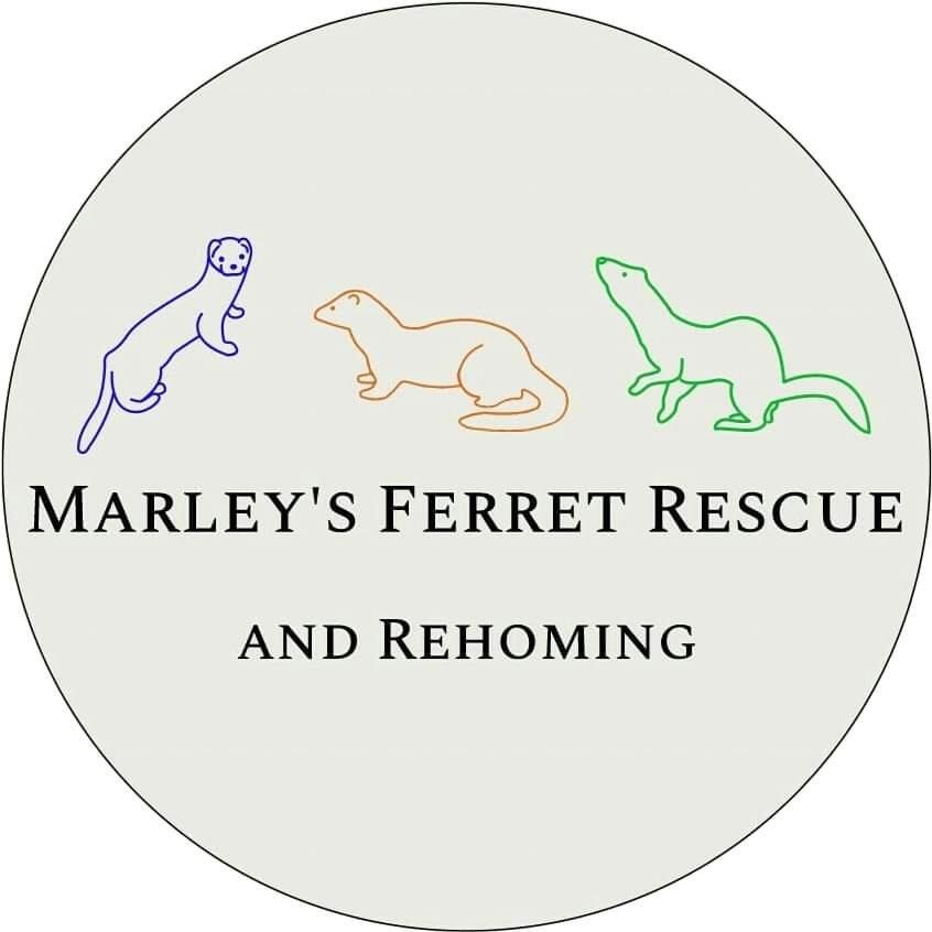 Marleys Ferret Rescue and Rehoming UK registered charity 1202585