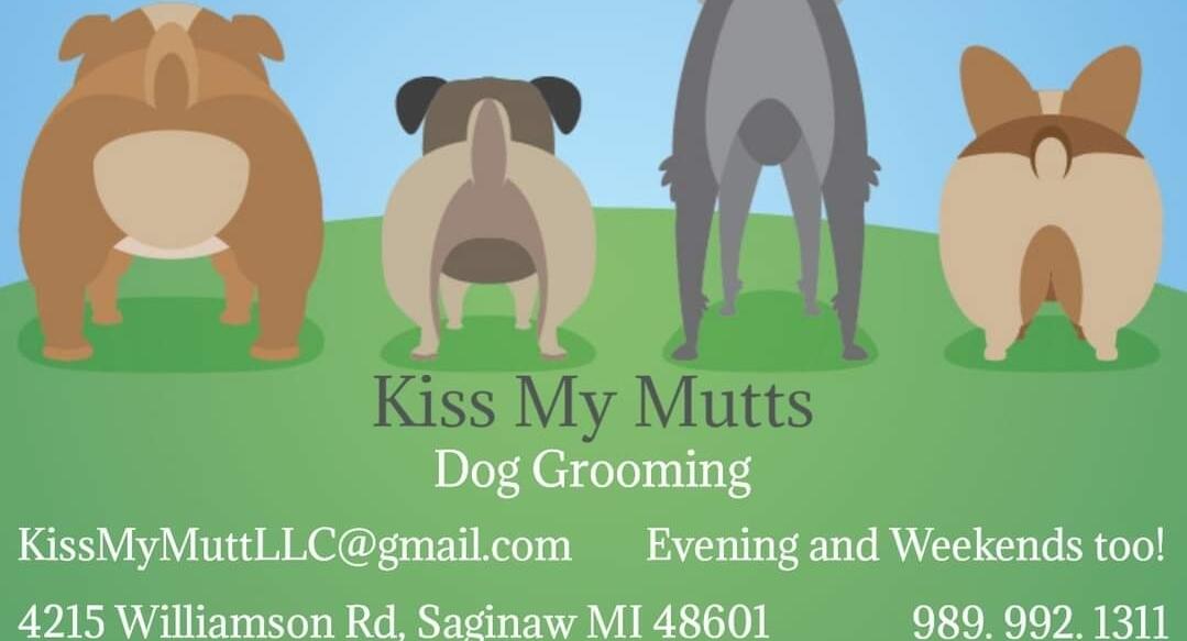 Mutts dog hot sale grooming