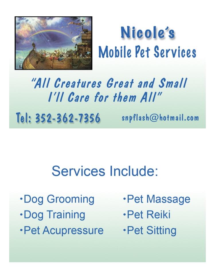 Dog Mob Training and Pet Sitting