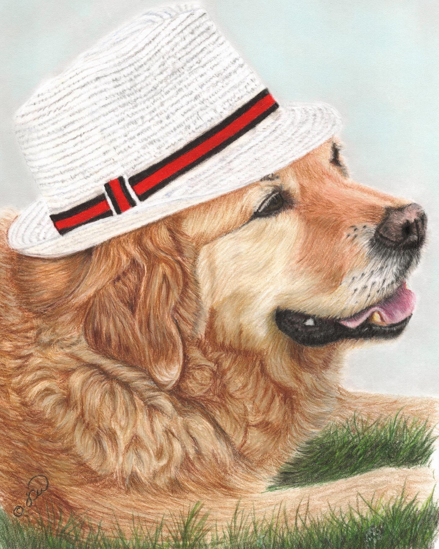 JCW Pet Portraits Morecambe Nextdoor