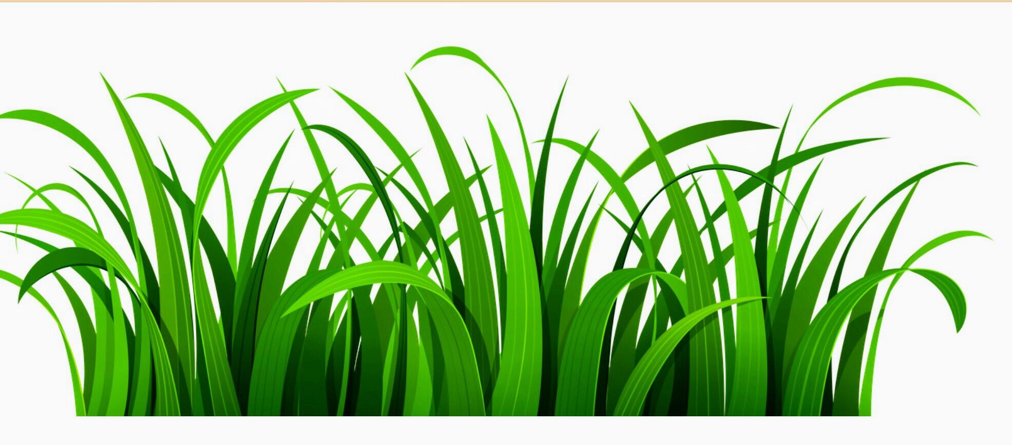 Burns Custom Lawn Care LLC. Nextdoor