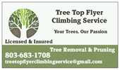 Tree Top Flyer Climbing Service