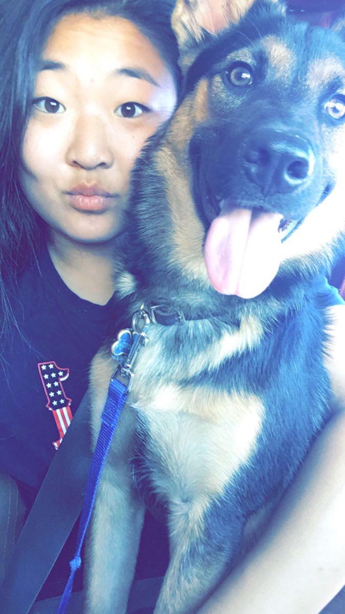 Jins Dog Grooming Lexington, KY Nextdoor