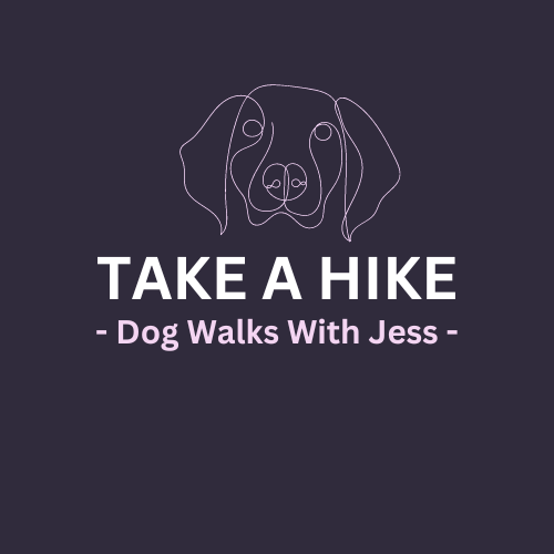 Take A Hike Dog Walks With Jess Newton Abbot, GBENG Nextdoor