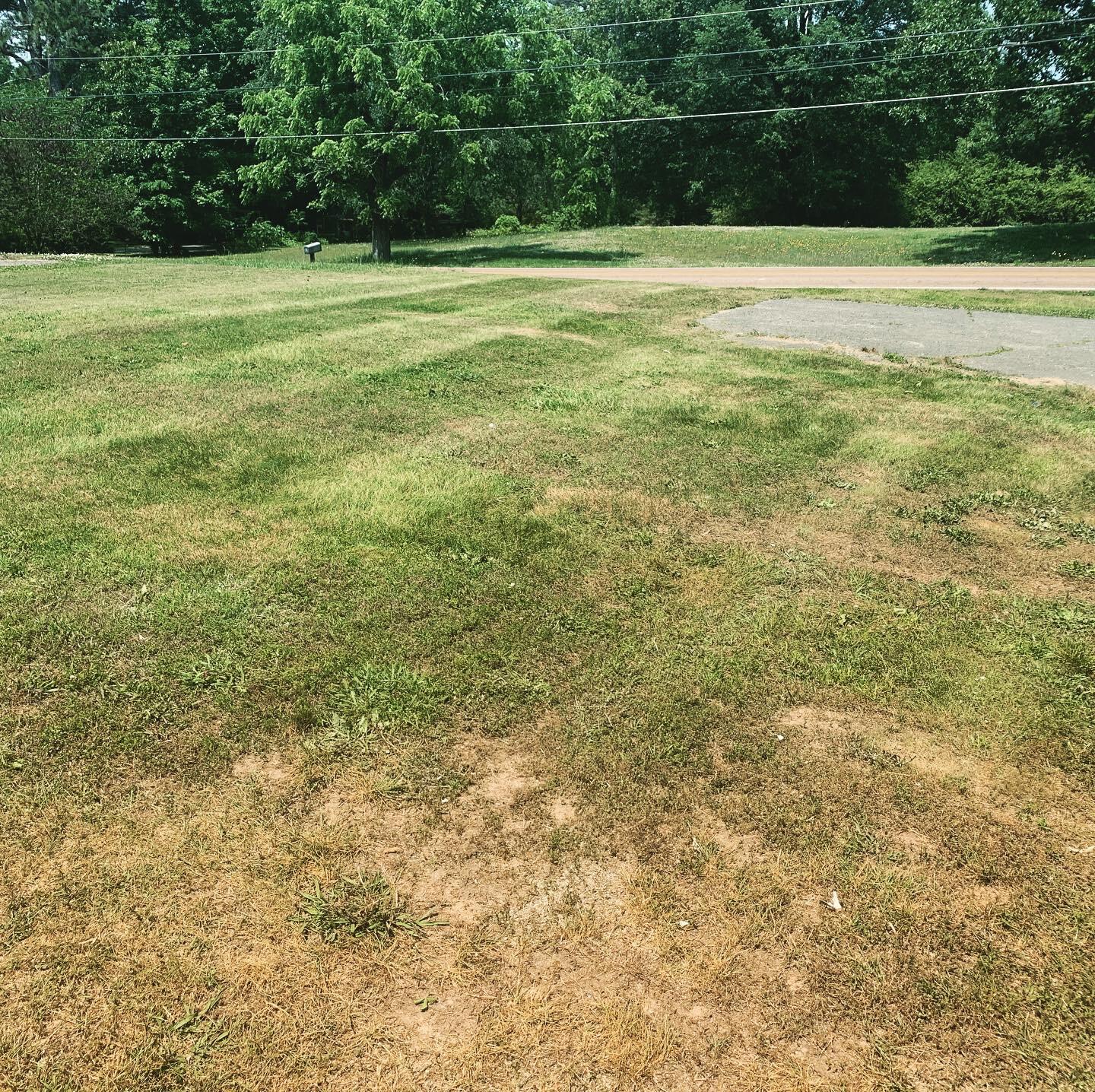 Lawn Ranger Lawn Care LLC - Nextdoor
