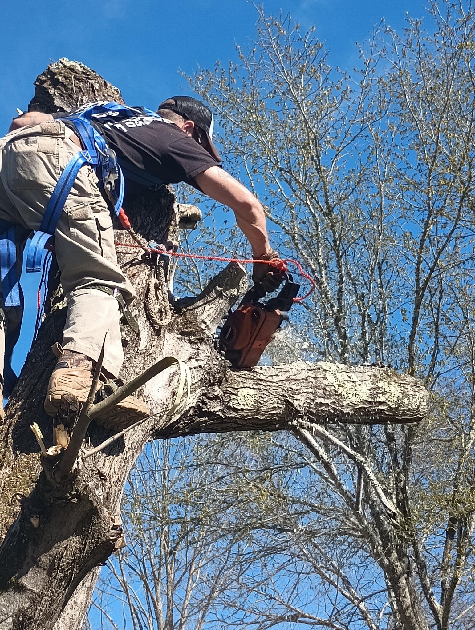 J&D Services... Oak Ridge, TN Nextdoor