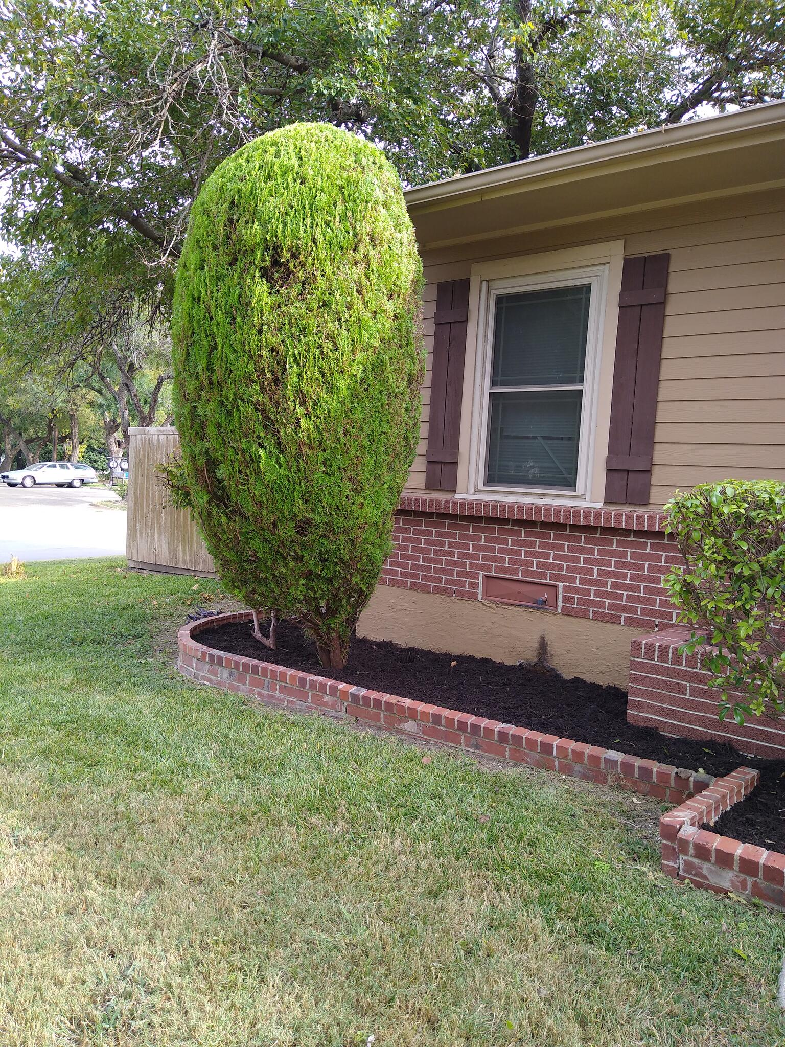 Angel lawn Service. Garland, TX Nextdoor