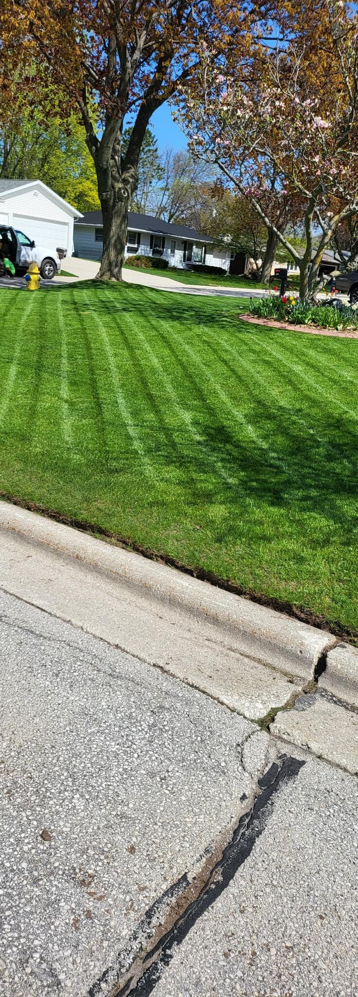 Lester's Two Girls and a Guy LLC! Snow Removal/Lawncare/House Cleaning