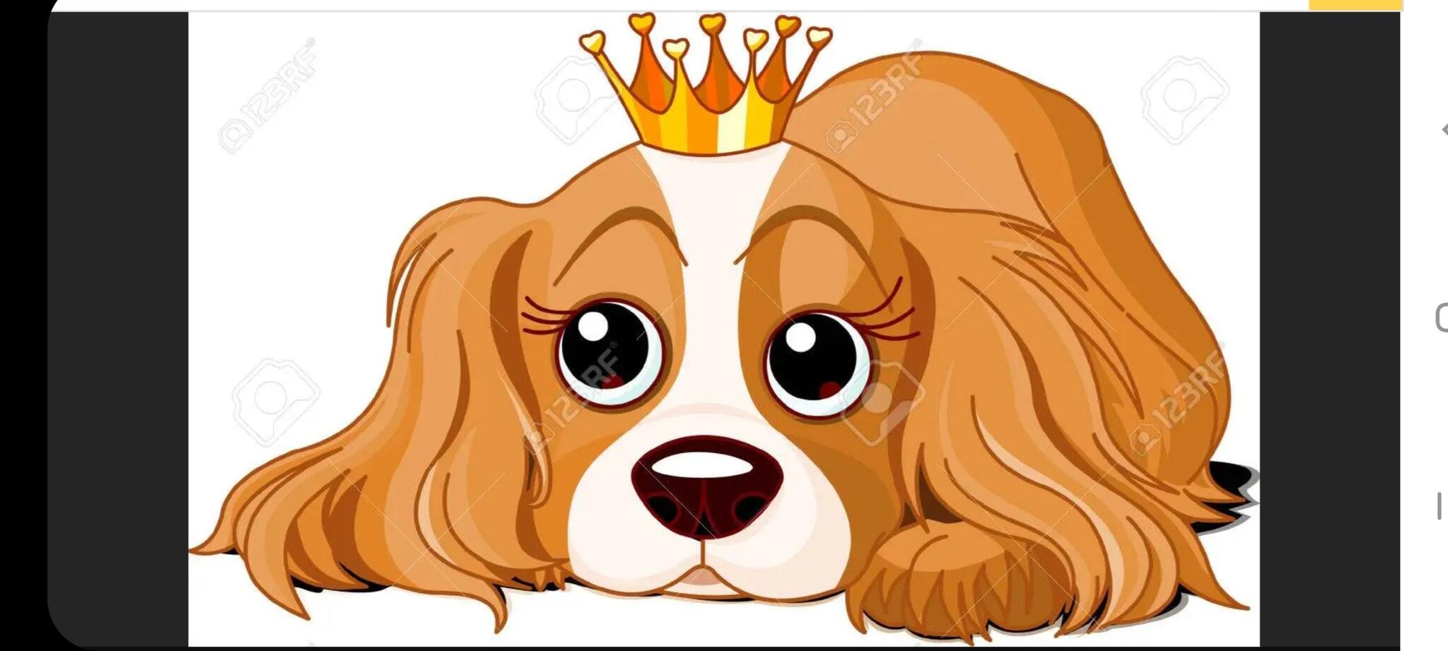 Evia's Dog Grooming Worcester Park Nextdoor