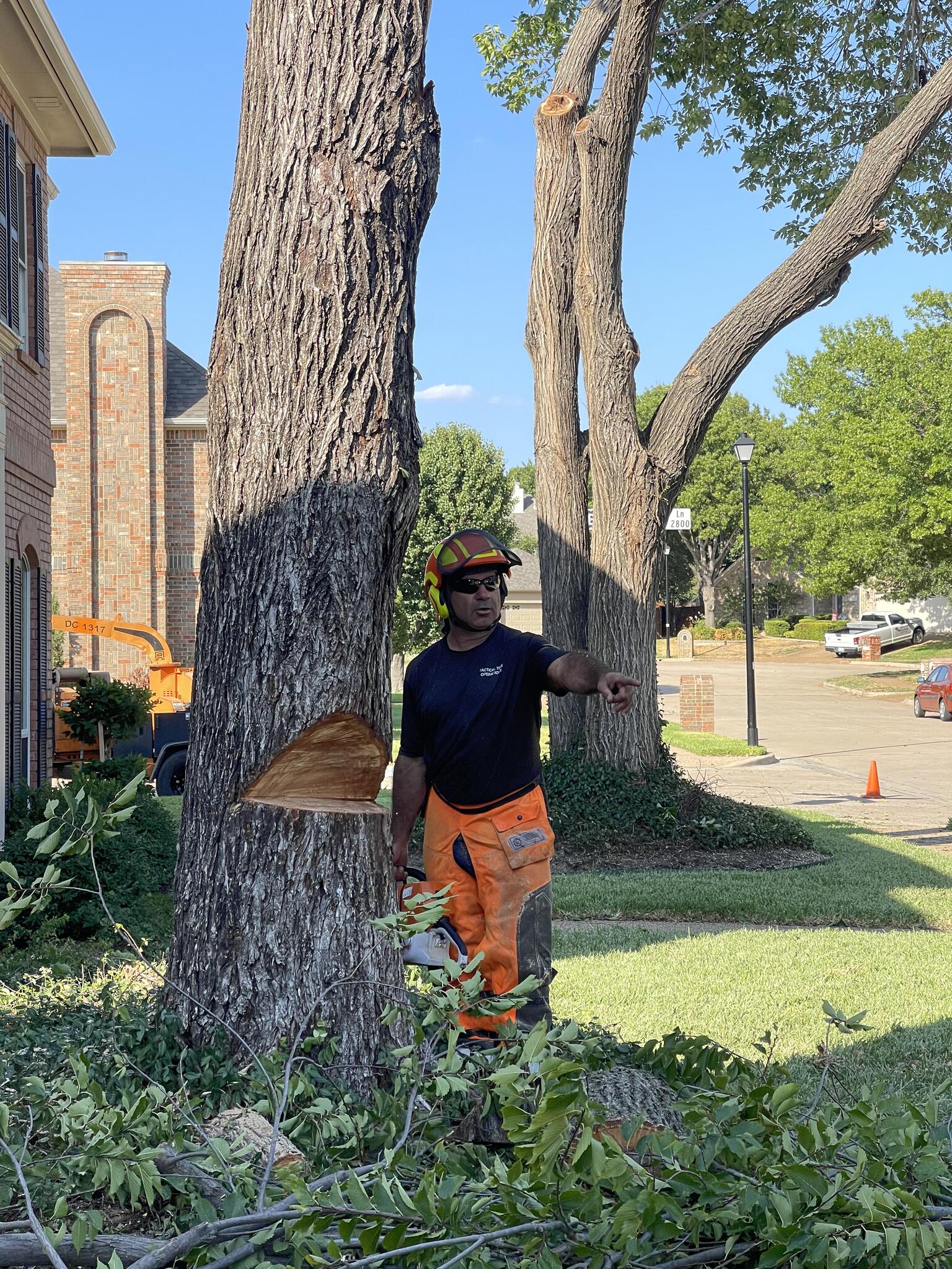 Tactical Tree Tactical Tree Operations - Nextdoor