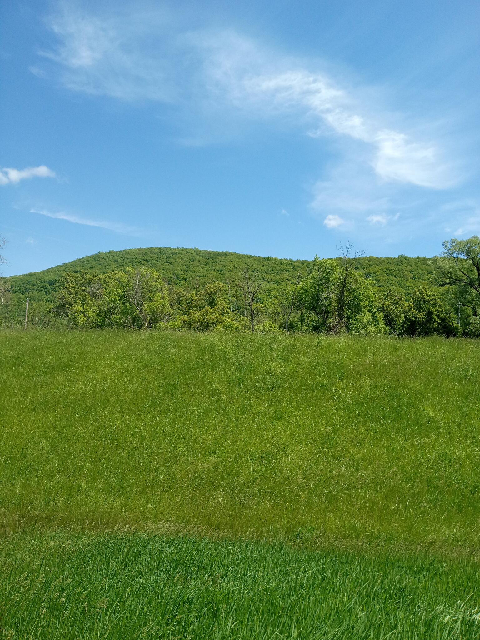 countryside landscaping and property maintenance Nextdoor