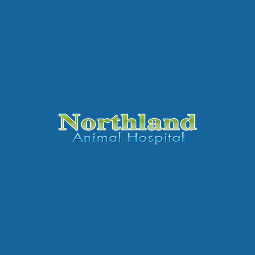 Northland Animal Hospital - Virginia, MN