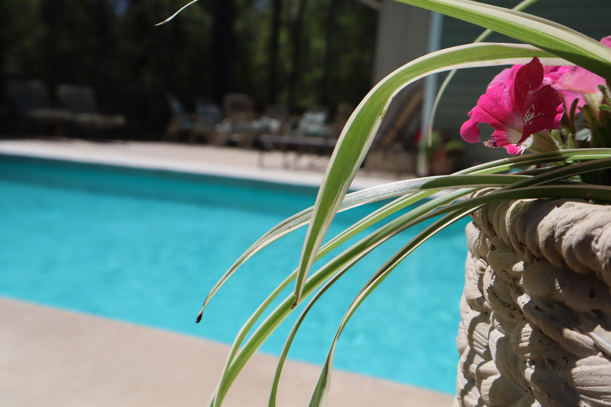 Aguilar construction and remodeling LLC Nextdoor